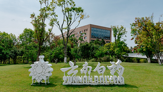 云南白药集团股份有限公司