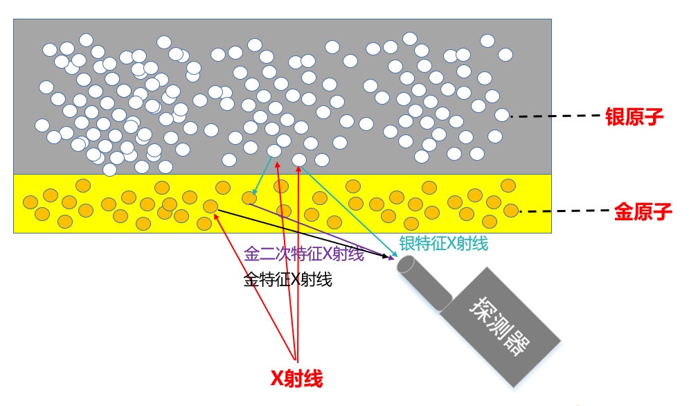 1730181433840347.jpg 图片2.jpg